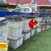 NPP Polls: Over 6,000 delegates set to elect national executives [Photos]