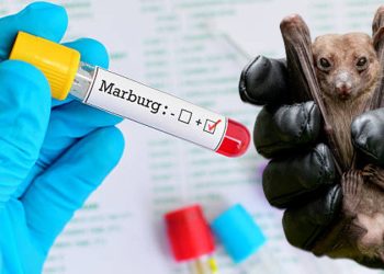 What to know about Marburg virus