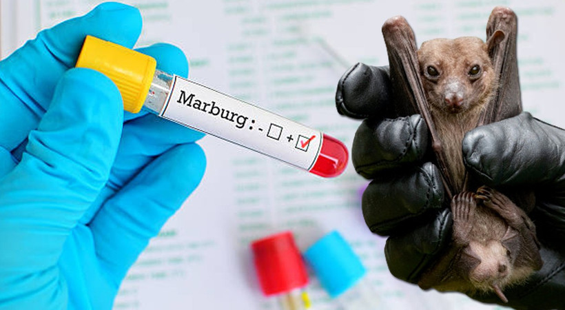 What to know about Marburg virus