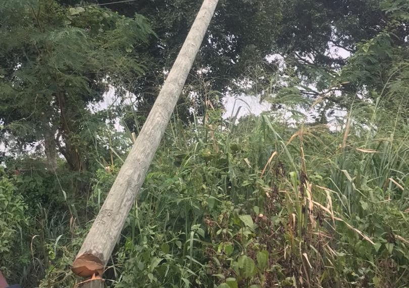 Unknown persons cut down ECG high voltage poles