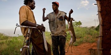 Gov’t announces closed season for hunting