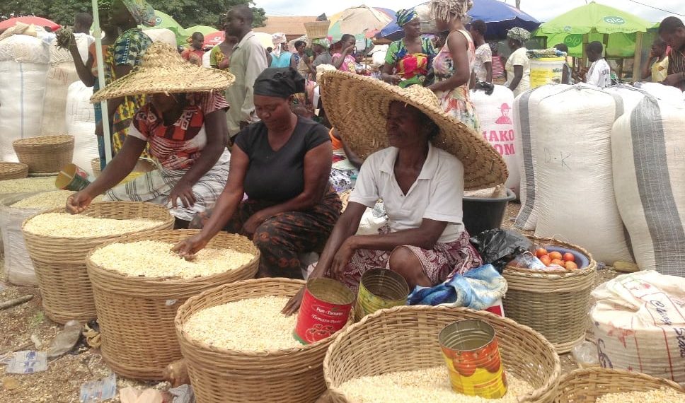 Maize shortage to hit Ghana by December – Agribusiness Expert