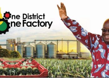 1D1F should’ve been targeted at reducing our import basket – NDC’s Alexander Akuoku