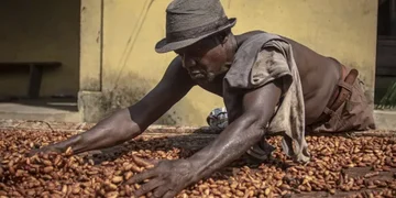 Chocolate makers make more money while cocoa farmers barely earn a living