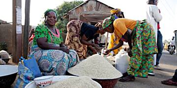 Prices of oil reduced, rice expected to increase by Friday – Market women cry