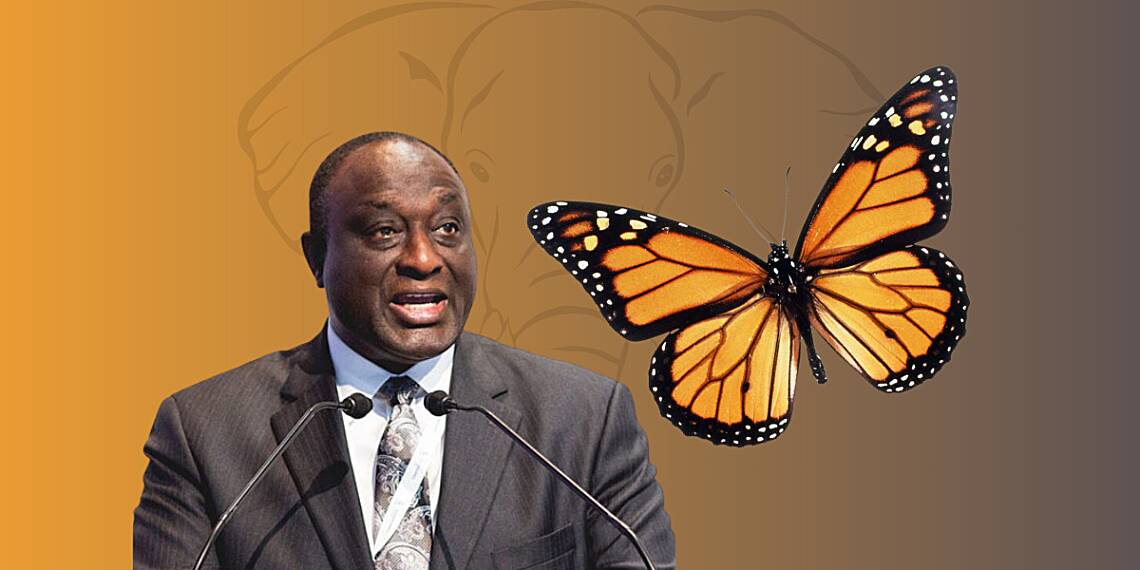 Alan Kyerematen's Movement for Change: From Elephant to Butterfly