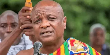 Togbe Afede joins calls for constitutional review, tasks next Gov't to get it done