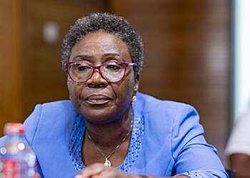 NPA to begin Bitumen regulation in January 2024