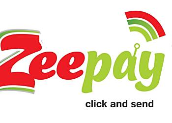 BoG fines Zeepay Ghana Limited, temporarily suspends its forex license