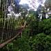 There's no protection against mining in our forests – Expert traces audacity to mine at Kakum to controversial L.I