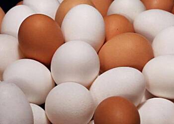 Consume eggs daily - Ghana Nat’l Egg Campaign