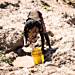 Zambia declares national emergency as drought crisis intensifies