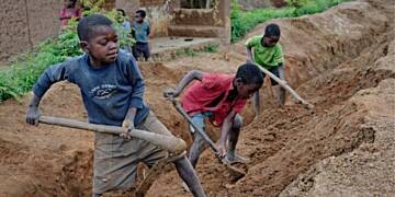 Children should be kept away from the mining and fishing sector - Social Development and Gender Specialist