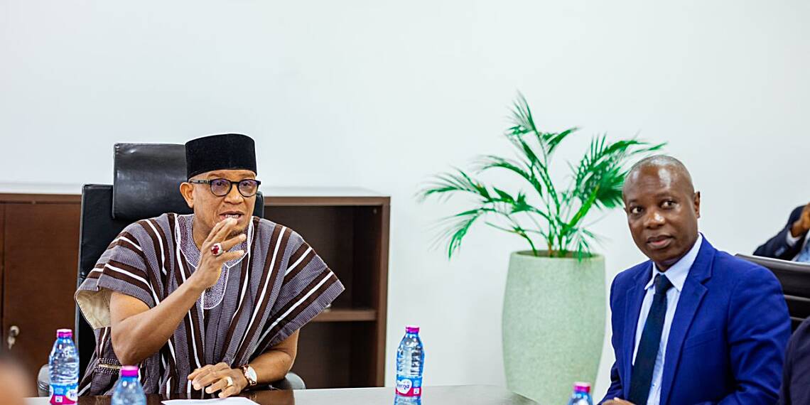 Tanzanian energy regulators understudy NPA"s operations