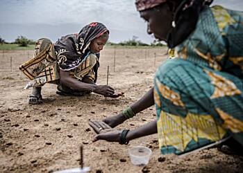Bad governance accounts for poor progress in nearly half of Africa - Report reveals