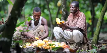 Next NDC will continue abandoned Cocoa roads, Prof. Opoku Agyemang pledges