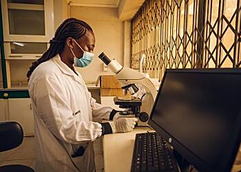 Empowering Ghanaian Youth in Agriculture through Mentorship and Capacity Building