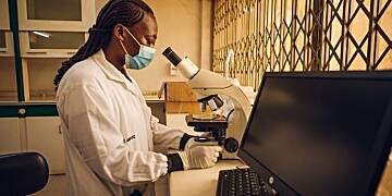 Empowering Ghanaian Youth in Agriculture through Mentorship and Capacity Building