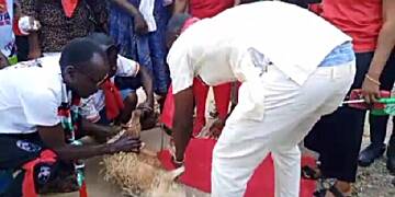 Invoking local deities: NDC's curse stops alleged illegal vote transfers in Nkoranza North