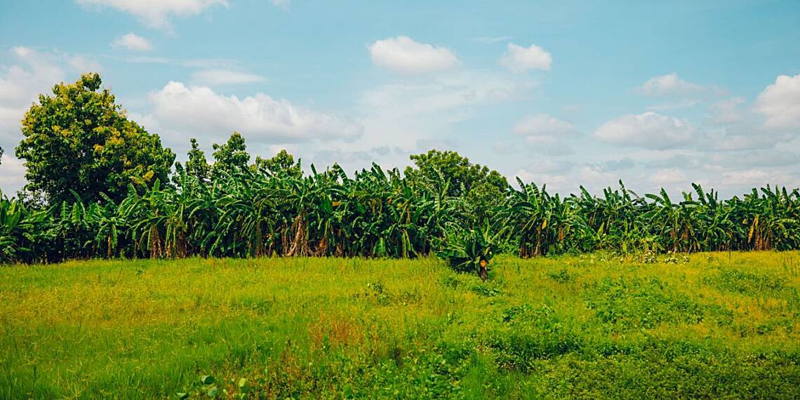 Towards a Sustainable Future: How some KIC start-ups are championing eco-friendly innovations