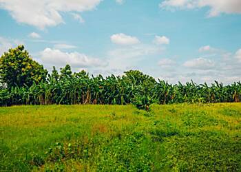 Towards a Sustainable Future: How some KIC start-ups are championing eco-friendly innovations