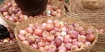 Price of Onion go up due to transportation challenges - Gomoa Dominase Onion Traders