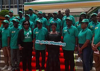 Forestry Commission highlights logistical challenges in combating environmental degradation