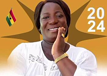 NPP Women's Organizer resigns over safety concerns
