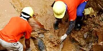 Committee dismisses bribery allegations in Organised Labour strike talks