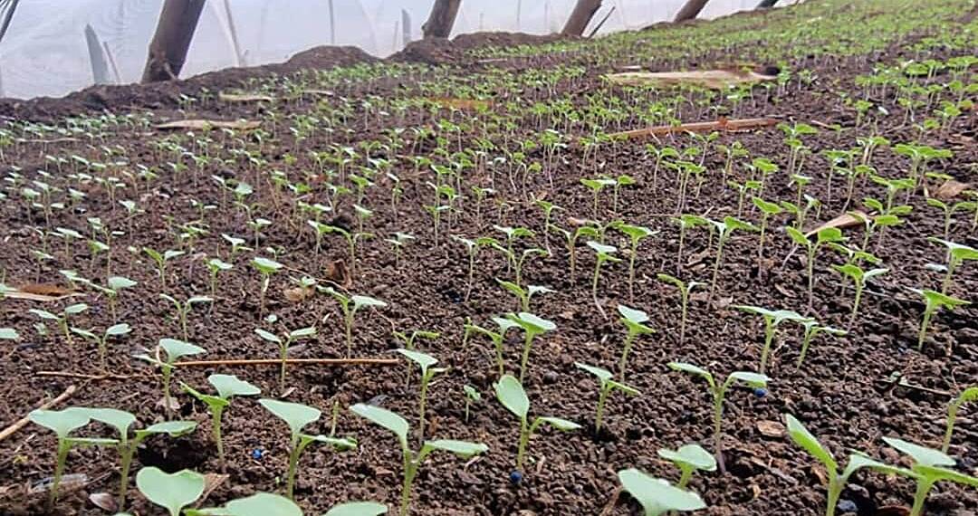 School Farm Competition commences with trainings and school monitoring visits