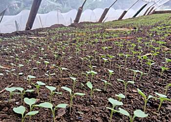 School Farm Competition commences with trainings and school monitoring visits