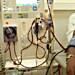 NHIA to support Hospitals with Dialysis machines