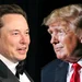 Elon Musk says he’ll fix the government under Trump should he win elections