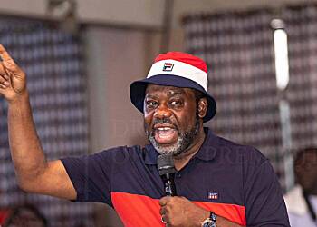 Election 2024: Vote for NPP to secure your future - NAPO