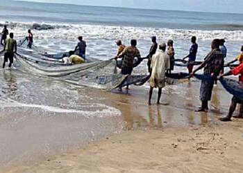 James Town fishermen experience bumper catch following lifting of fishing ban
