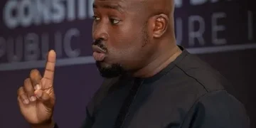 You came with Kalypo and we will be sacking you with brown water - Senyo Hosi to Akufo-Addo