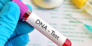 Nigeria: 27% of Nigerian men not biological fathers – Report