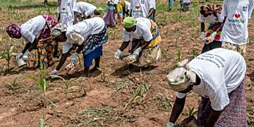 Gov’t rolls out Agriculture Transformation Agenda to boost food security