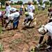 Gov’t rolls out Agriculture Transformation Agenda to boost food security