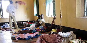 Over 350 die from Cholera in Nigeria - report