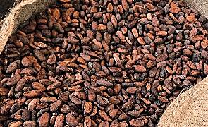Ivory Coast seizes 33 trucks carrying smuggled cocoa beans