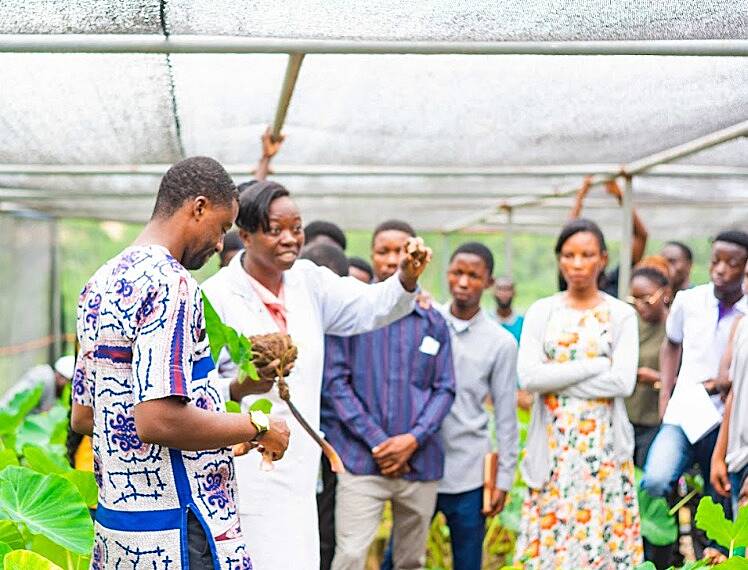 KIC and Mastercard Foundation promote agripreneurship with Market Research Tours