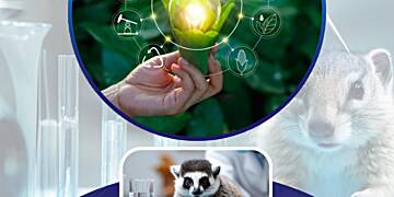 PHG Foundation & Consultancy Partners Presents Sustainable Solution to Galamsey Menace