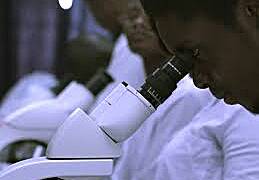 We have not received our unpaid allowances - Pharm D house officers of 2022