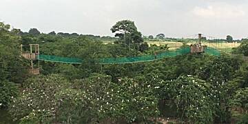 Legon Botanical Gardens To shut down permanently on October 30