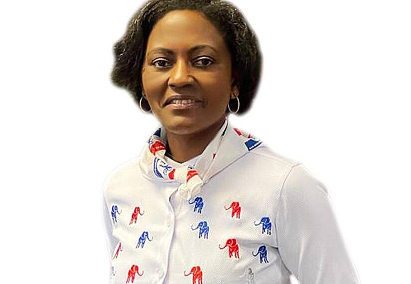 Ghana's economic challenges could have been worse under John Mahama - Chairperson, NPP-USA