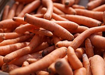 Mysterious illness outbreak