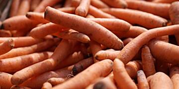 Mysterious illness outbreak