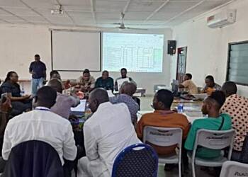 Re-collating and re-declaring results at Police Training School is illegal- Dr. Hannah Bissiw