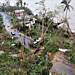 Cyclone Chido kills 94 people in Mozambique